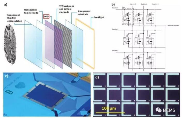 荷蘭科學家研發(fā)新型柔性高分辨率指紋識別傳感技術 荷蘭科學家研發(fā)新型柔性高分辨率指紋識別傳感技術