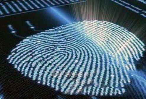 荷蘭科學家研發(fā)新型柔性高分辨率指紋識別傳感技術 荷蘭科學家研發(fā)新型柔性高分辨率指紋識別傳感技術